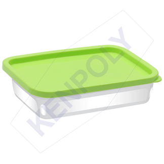 RECTANGLE FOODMATE 0.5 LTR