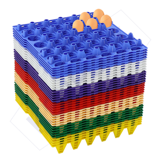 EGG TRAY